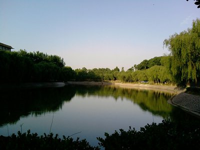 网络平台不给取款怎么处理经验总结