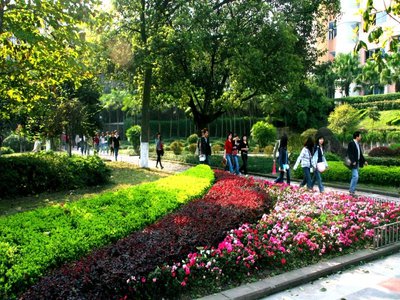 平台取现被拒绝不要气馁跟着这些方法来操作