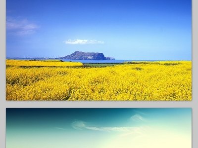 梨树叶片病害的识别方法