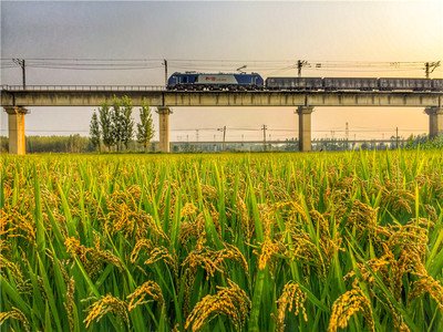 游戏平台提现遭遇问题这里有解决方法