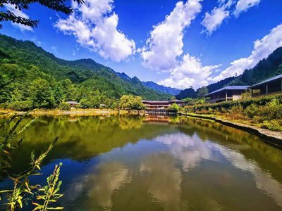 龟的长寿秘诀与生存智慧