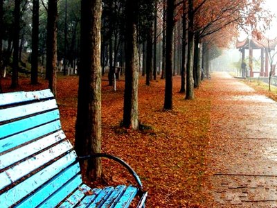 情绪失控的压力应对不足