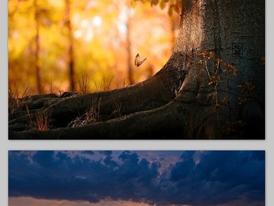 生物奥秘：从遗传学到环境适应的完美交织