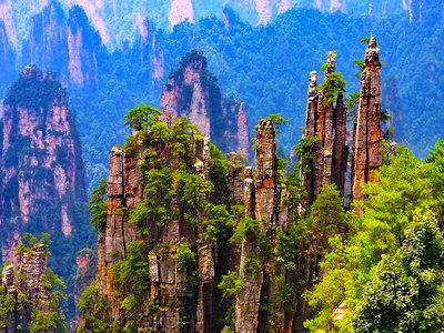 动物的防御机制有多强大？