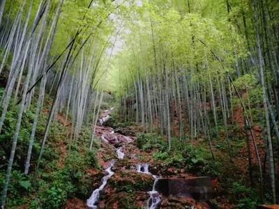 精选休闲旅行地，打造你的完美假期