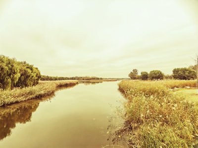 亲子教育如何帮助孩子培养批判性思维？