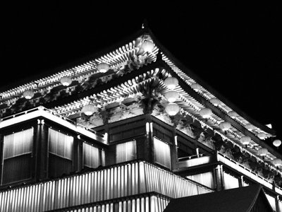 鳥類的防御机制：如何应对天敌？