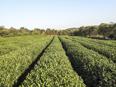 高情商者善于控制自身情绪