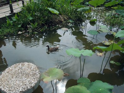 平台提现申请被取消不给提现怎么操作解决方法大揭秘