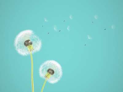 绿色低碳生活：如何从日常生活开始