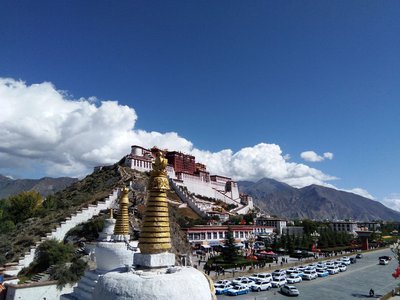 家庭健康管理的小窍门