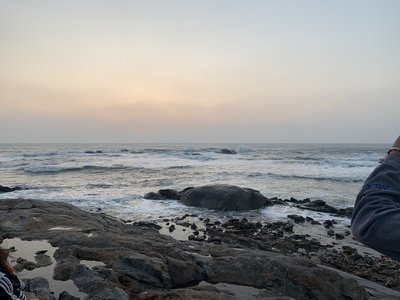 苦竹味苦的化学物质