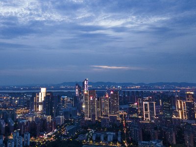 大白鹭展翅飞翔的优美姿态原理