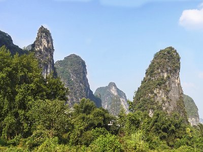 海水鱼的分类及饲养入门指南