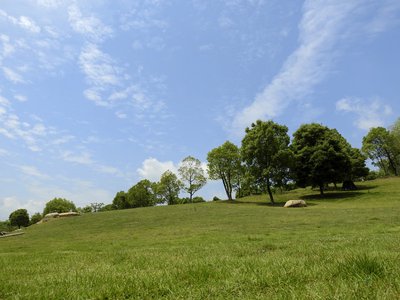 科技生活中的社交平台变革