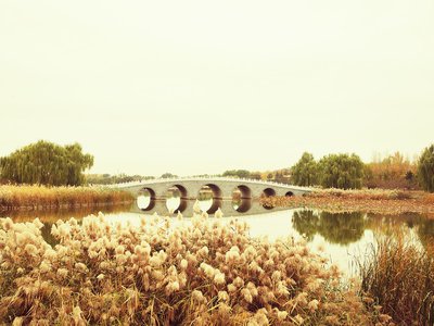 减少焦虑的方法，让你生活更轻松