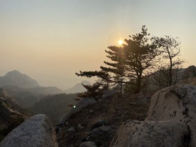 如何处理花卉的干枯与老化