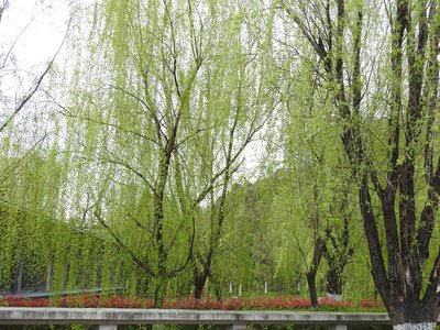 宇宙生命存在的可能性