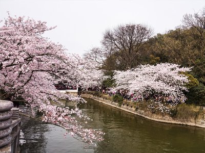 游戏平台取现通道维护拒绝提现怎么办实用攻略帮你解决问题