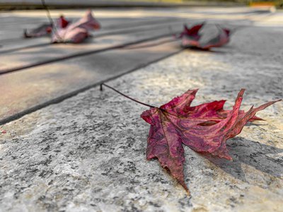 提现通道不通游戏平台无法出款怎么办