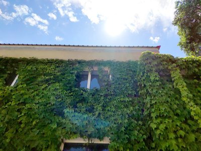 游戏平台取款审核未通过的具体应对方法