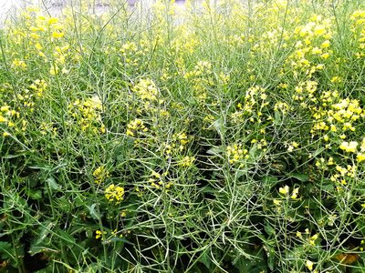 平台取现申请无法通过怎么处理