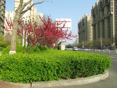 春季房间装饰：如何用小物件提升家居氛围