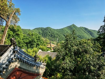 为什么章鱼能喷墨