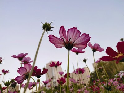 提交提现申请后没有通过审核应该怎么办