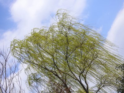 海洋鱼类生态分布与生活习惯