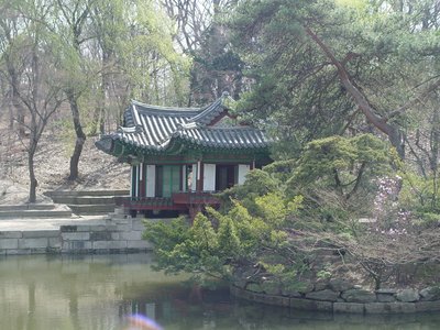 平台取款线路维护没法取款怎么操作