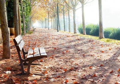 关系中的自我界限：如何避免不健康的依赖？