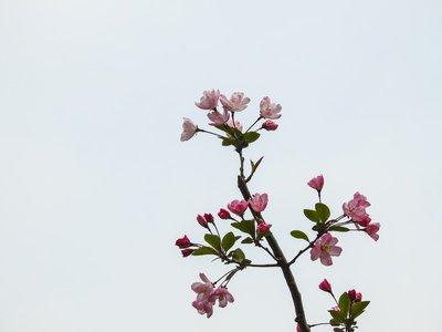 游戏黑平台不给取款如何求助