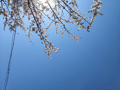 平台存款操作已被停用没法提现怎么解决