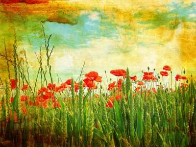 网上黑平台说我流水不够不能提现怎么操作