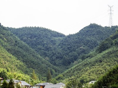 环境监测：如何用科技守护我们的家园