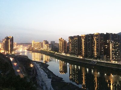 剑鱼长吻攻击猎物的作用