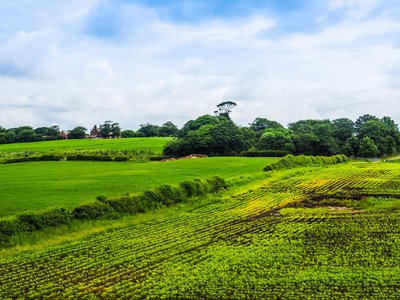 网上被黑平台没法取款有成功求助案例吗