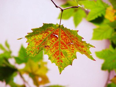 平台网站抽查审核没法取款如何解决