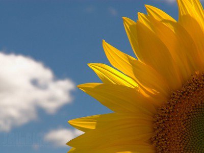 游戏平台系统维护拒绝取款问题的解决窍门