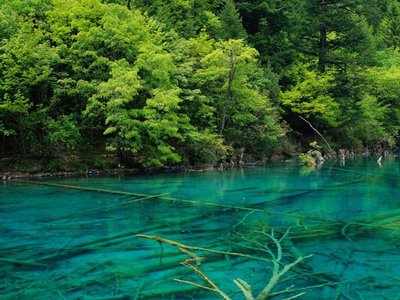 情绪体验的年龄差异特点