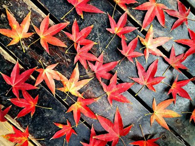 工作中的时间管理技巧分享