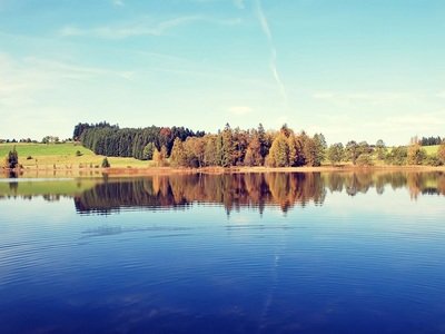 黑平台提现申请一直被取消不给提现怎么解决成功提现的窍门