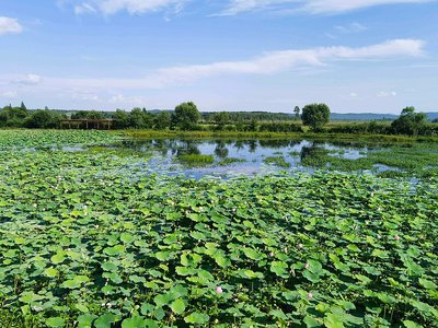 自制香囊的材料与功效