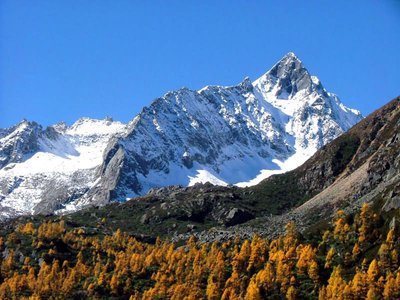 网上游戏黑平台各种理由不给提现找出黑工作室能挽回吗