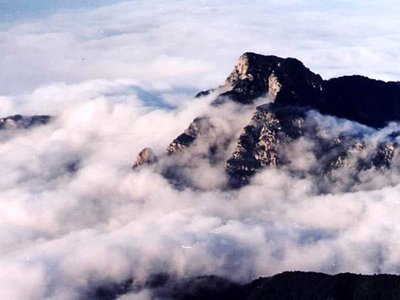 网络游戏平台拒绝出款找谁能搞定