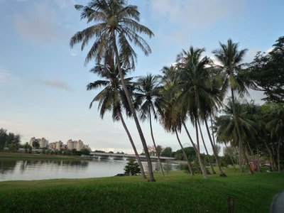 遭遇黑平台银行系统升级无法提现怎么办解决方案在此