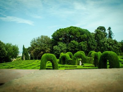 候鸟迁徙靠什么辨别方向