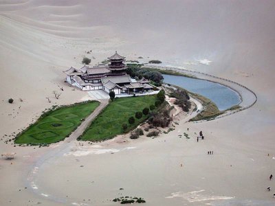 适合花园的小型植物推荐