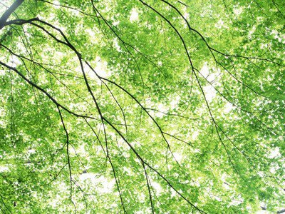 德雷克公式的意义